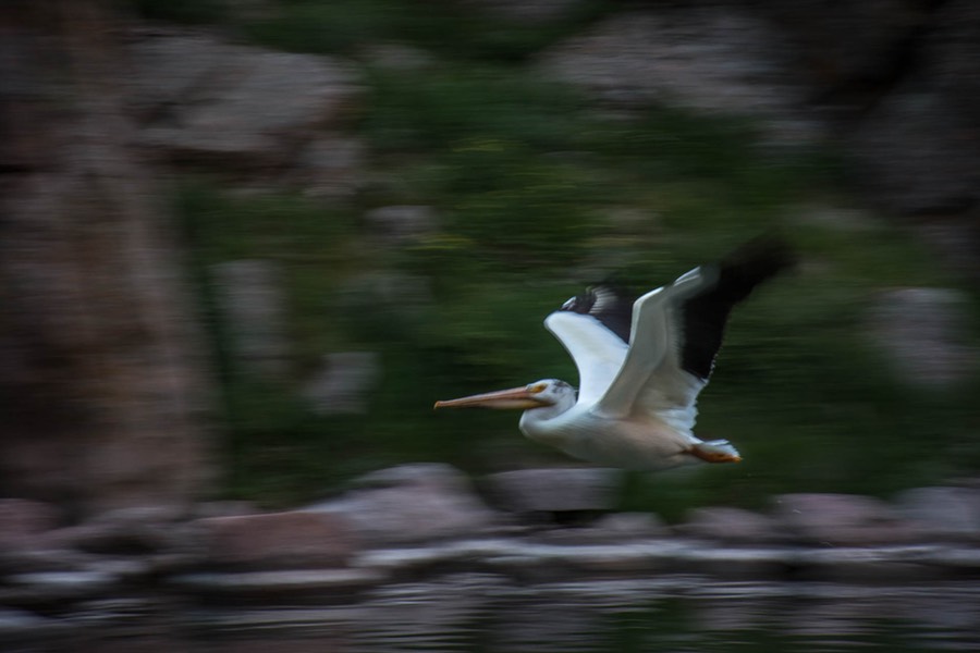 20150617RLH_fremont_canyon_0130