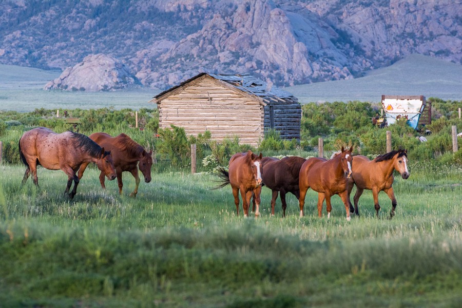 20150617RLH_Sun_Ranch_area_0053