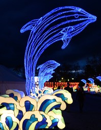 20190112LaternLightFestival4103