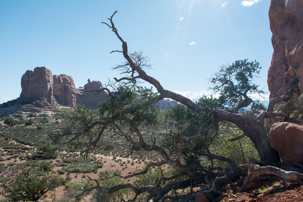 In Arches NP