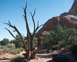 In Arches NP