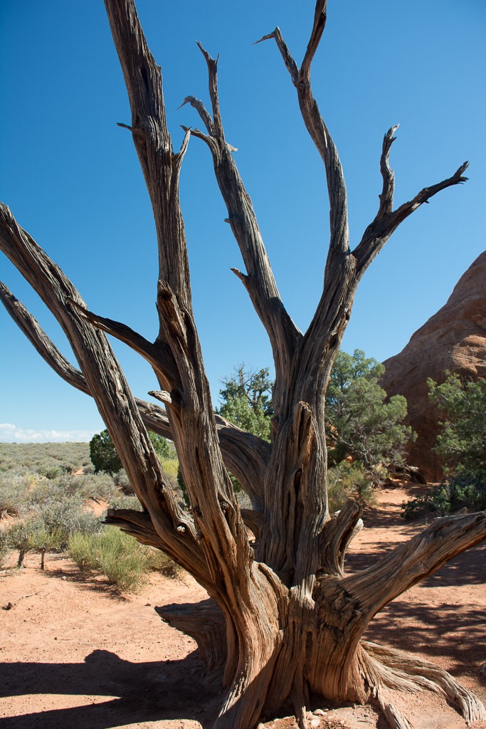 In Arches NP