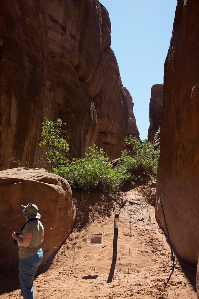 Near Devil's Garden in Arches