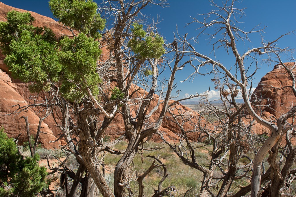 trail to Landscape Arch