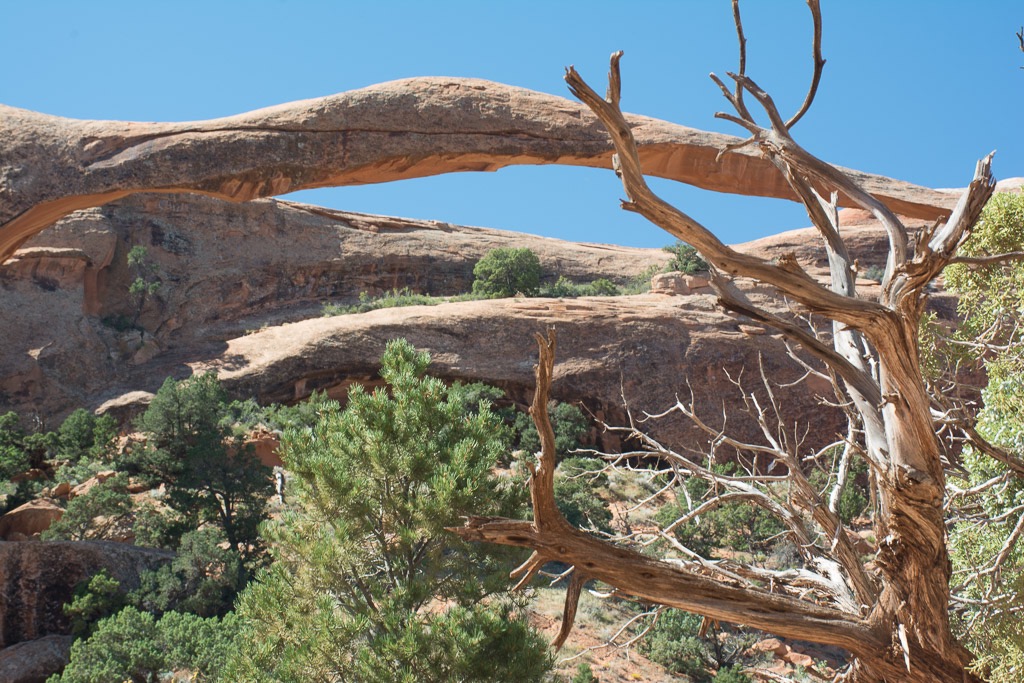 Landscape Arch