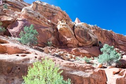 a cayon hike in Capitol Reef