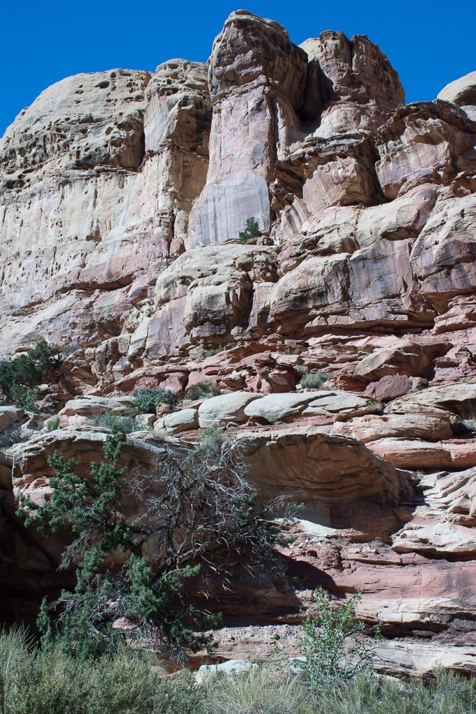 a cayon hike in Capitol Reef