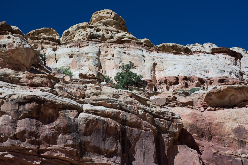 a cayon hike in Capitol Reef