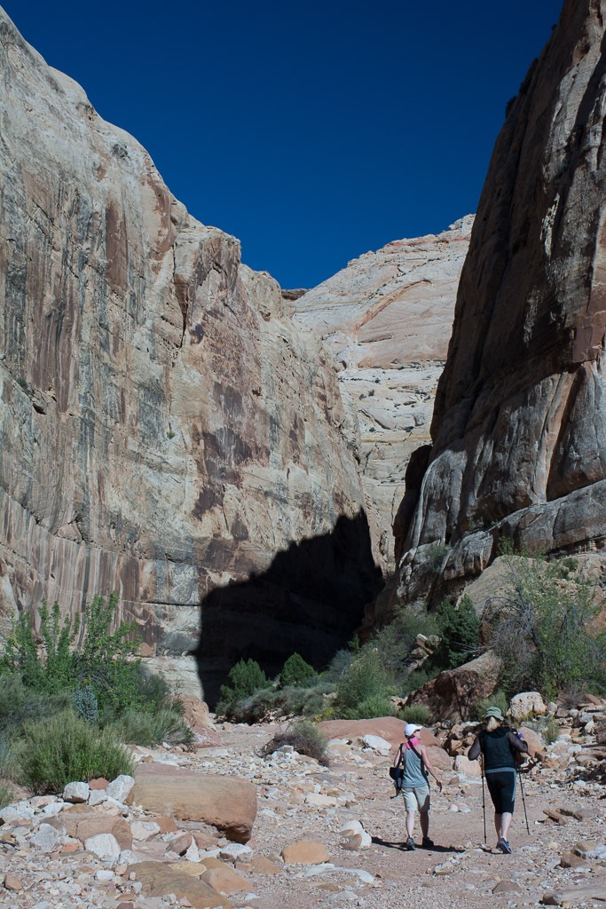 a cayon hike in Capitol Reef