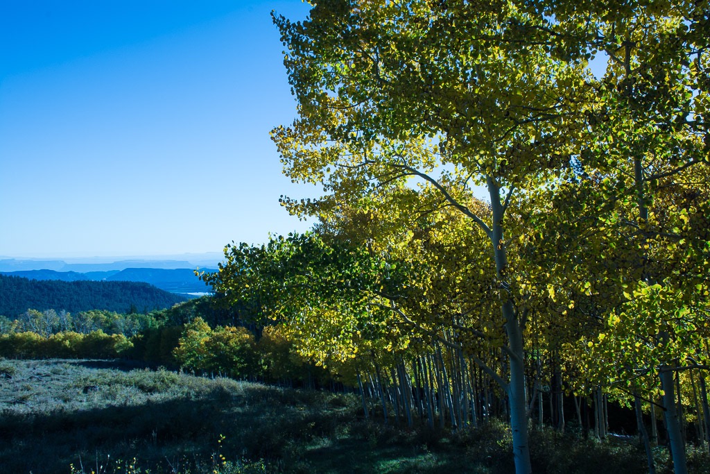 Hiway 12 near Boulder Utah at 9000+ feet