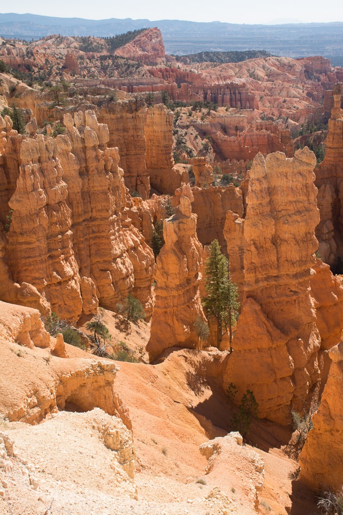 Entering into Bryce Canyon (which isn't a canyon)