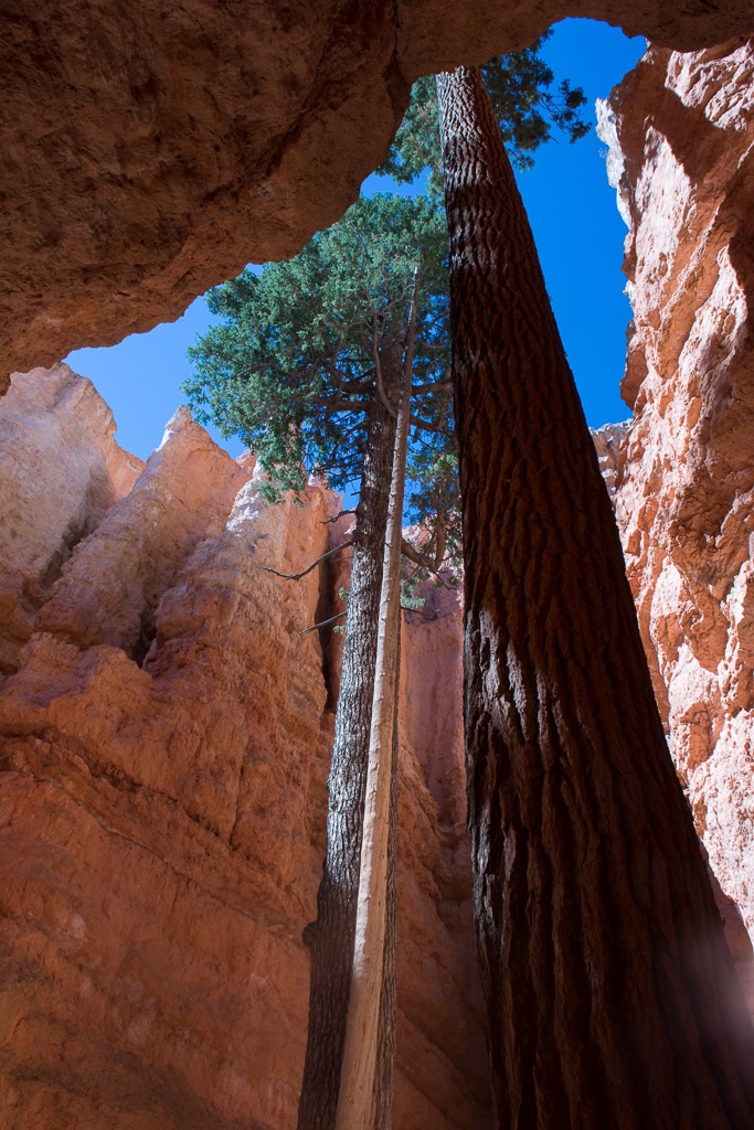 Hoodoo hike, "Wallstreet" section