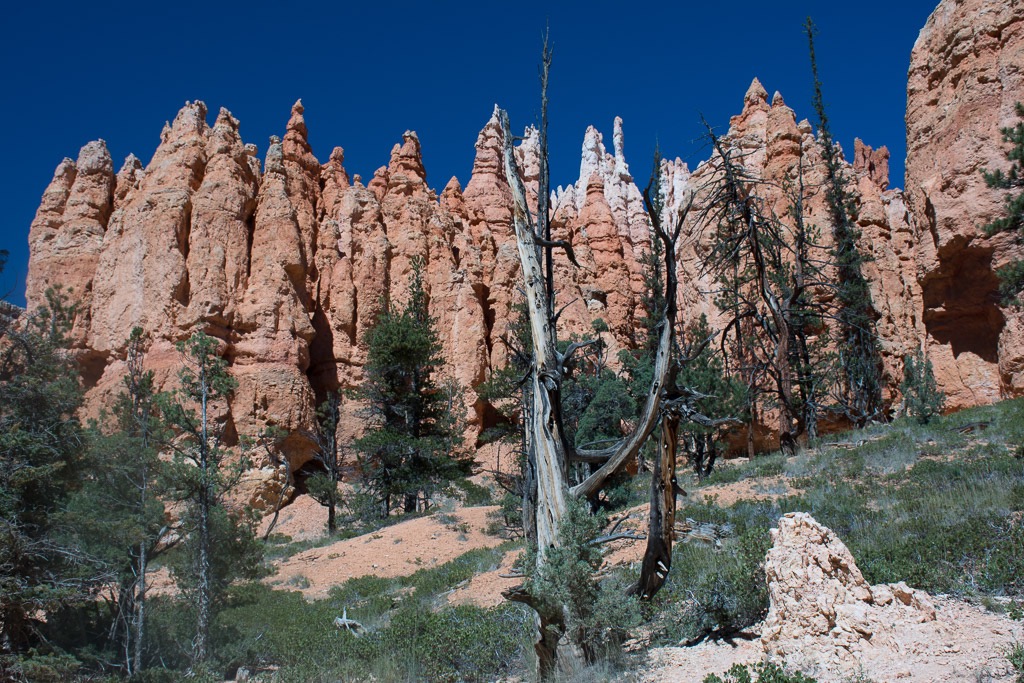 Hoodoo hike along the floor