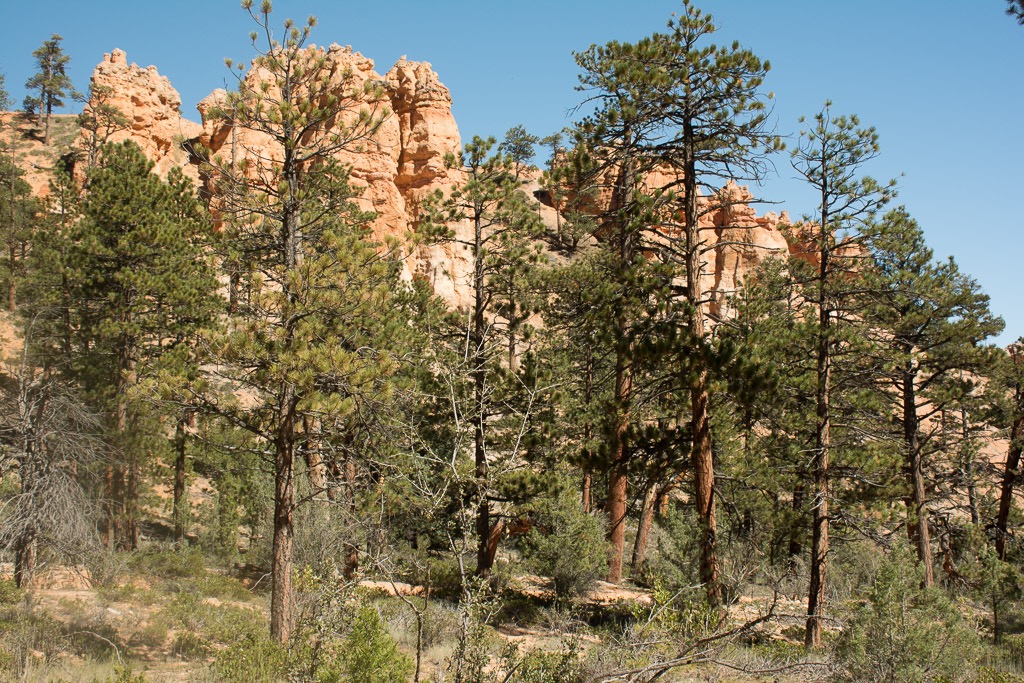 Hoodoo hike along the floor