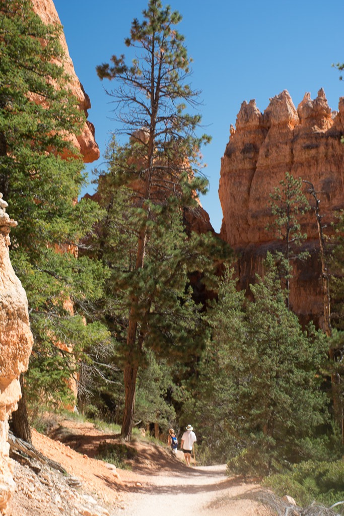 Hoodoo hike along the floor