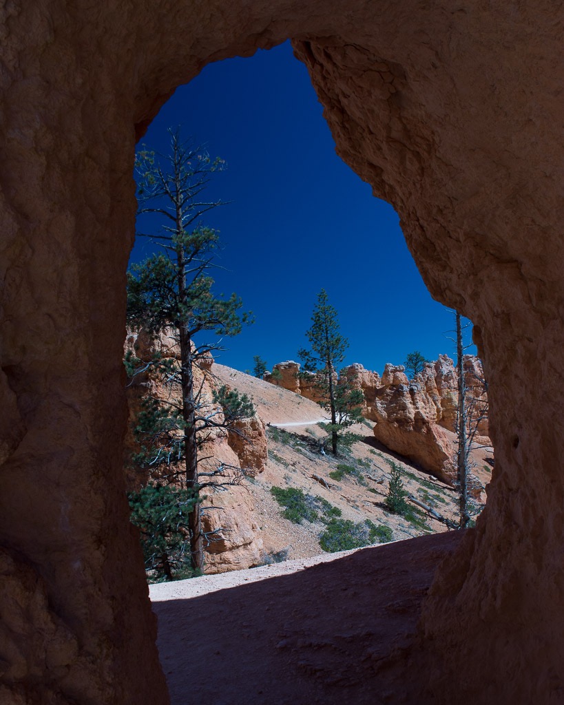 Hoodoo hike along the floor