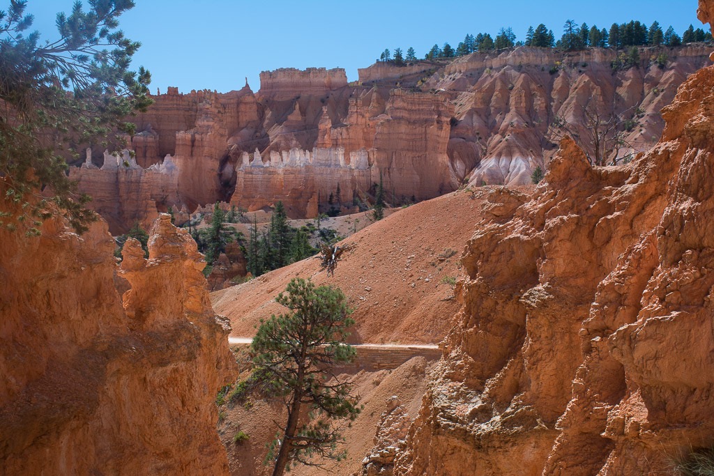 Hoodoo hike - headed back up to Sunrise poiint