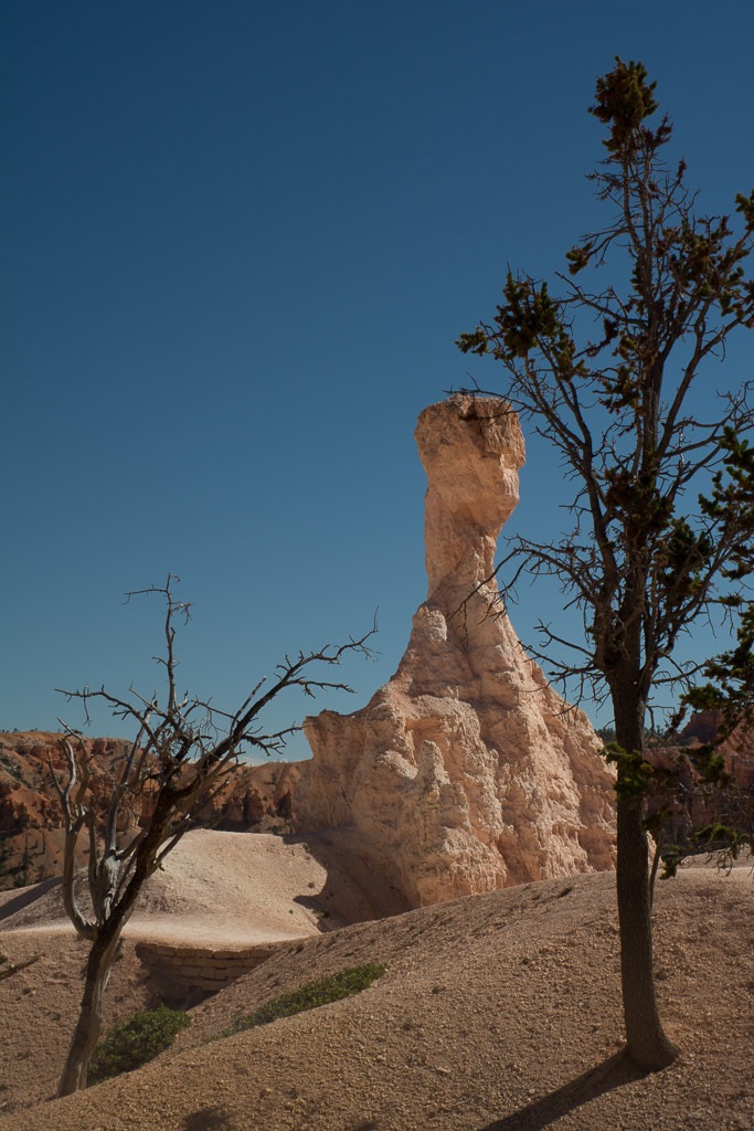 Hoodoo hike - headed back up to Sunrise poiint