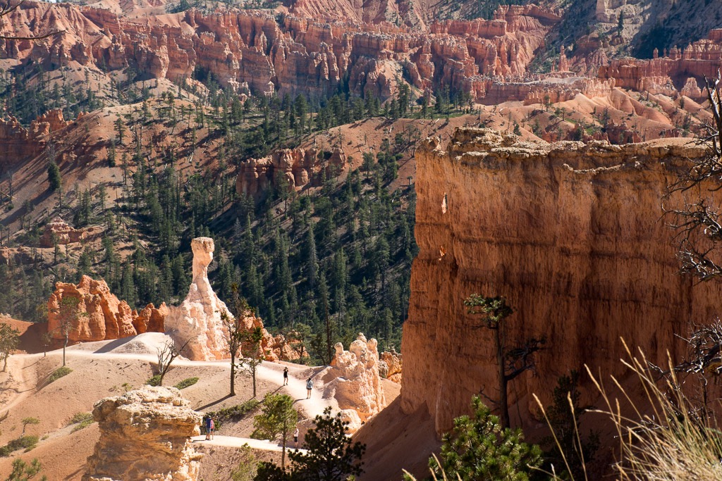 Hoodoo hike - headed back up to Sunrise poiint