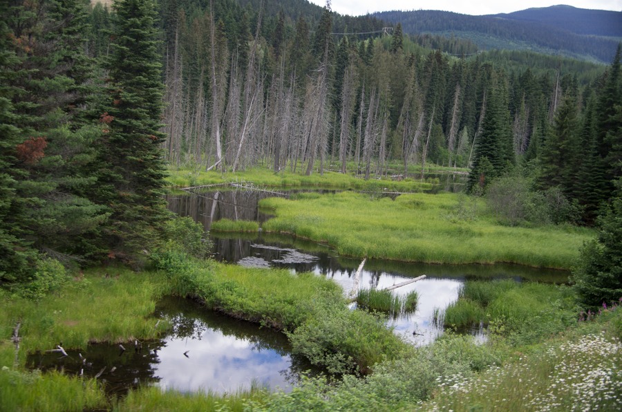 2nd day on train, between Kanloops and Jasper