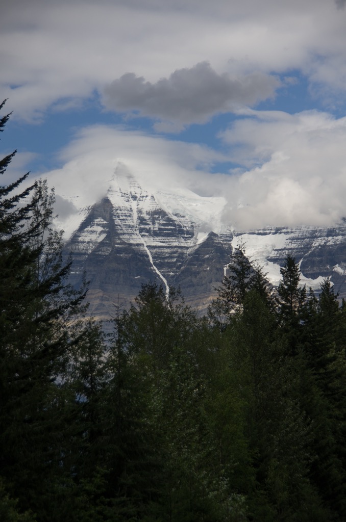 Rocky Rockies