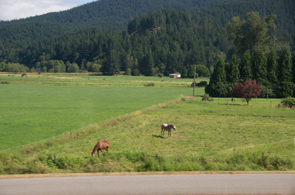 Along the lower Fraser River