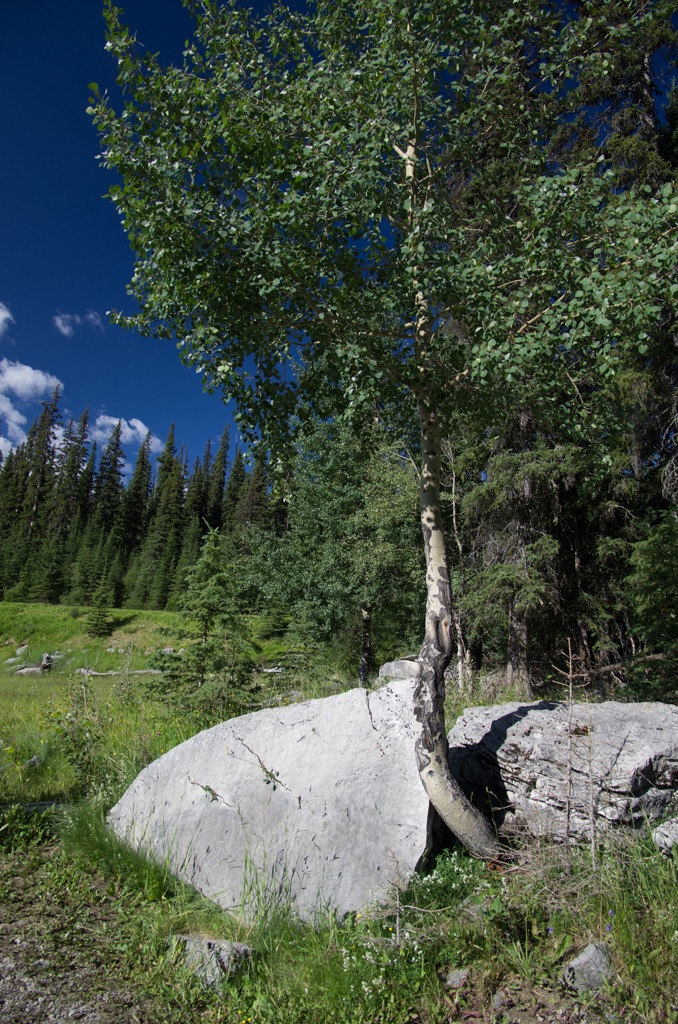 views from Medicine Lake