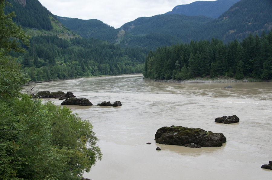 Along the lower Fraser River