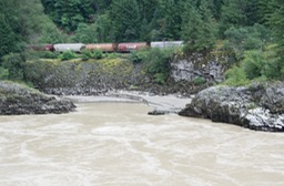 Along the lower Fraser River