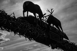 Bridge of Antlers 