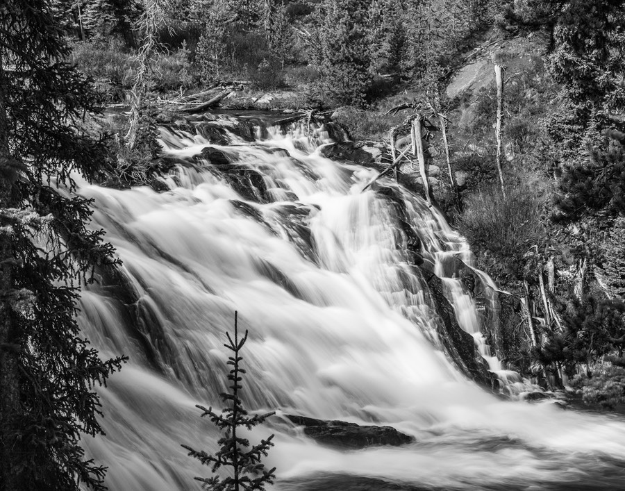 Lewis Falls