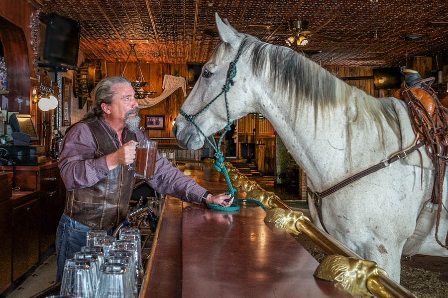 Salute to a great tale by the horse, photo by Paolo Nigris