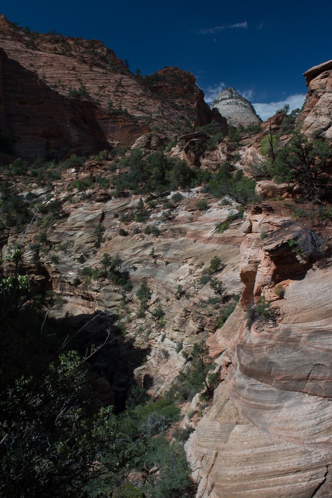 Canyon Overlook Trail, east side of Zion