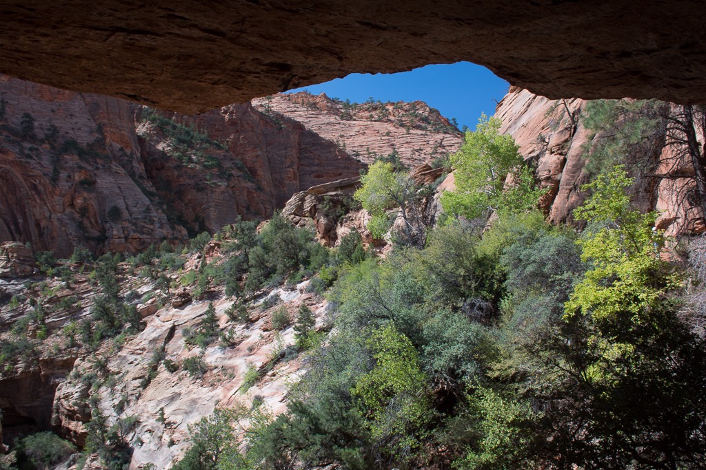 Canyon Overlook Trail, east side of Zion