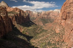 Canyon Overlook Trail, east side of Zion
